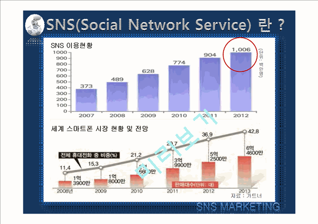 SNS MARKETING   (4 )